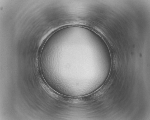 X0000052551460200507221439