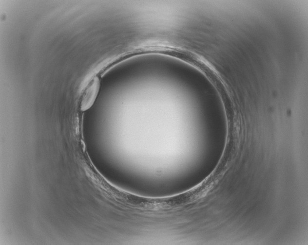 X0000052551461200507221439