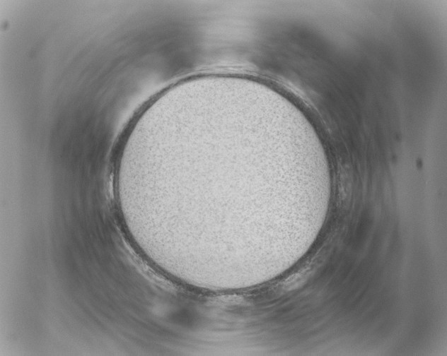 X0000052551462200507221439