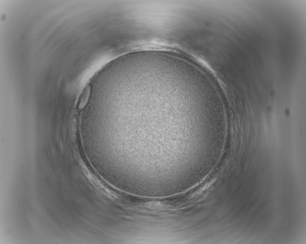 X0000052551463200507221439