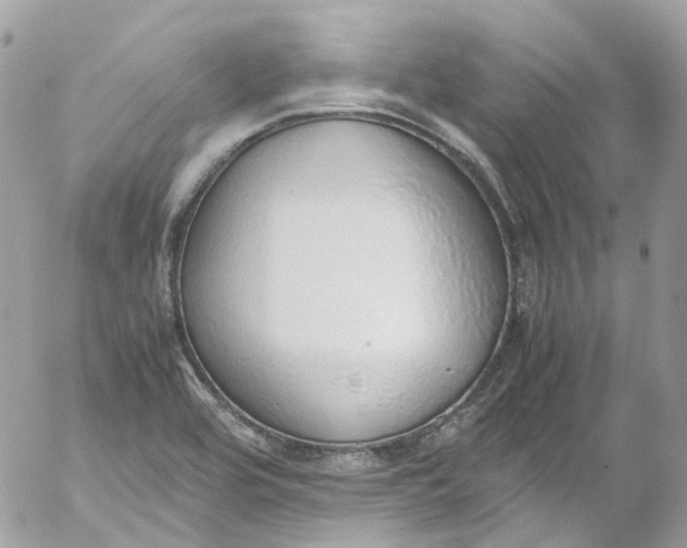 X0000052551464200507221439