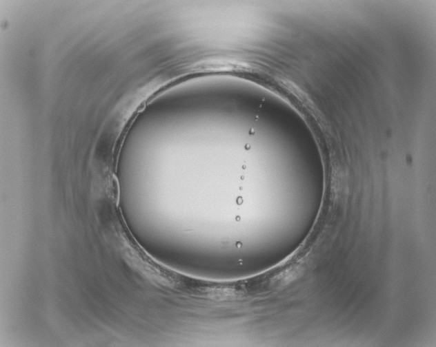 X0000052551465200507221439