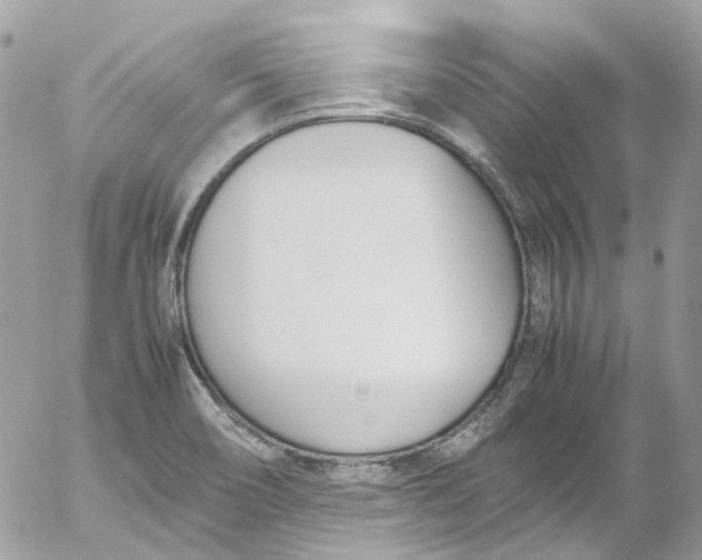 X0000052551466200507221439