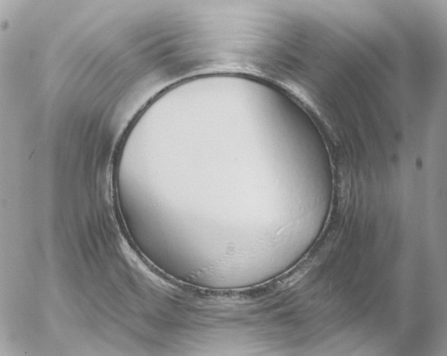 X0000052551468200507221439