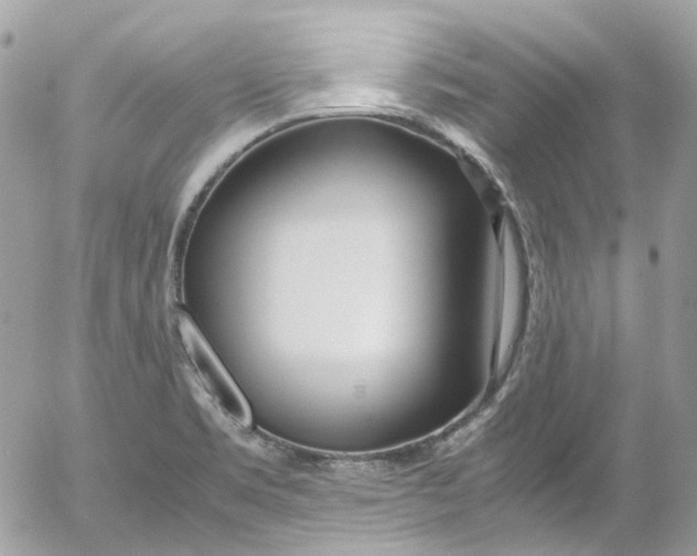 X0000052551469200507221439