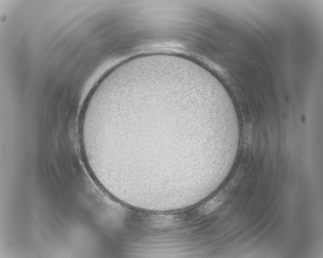 X0000052551470200507221439