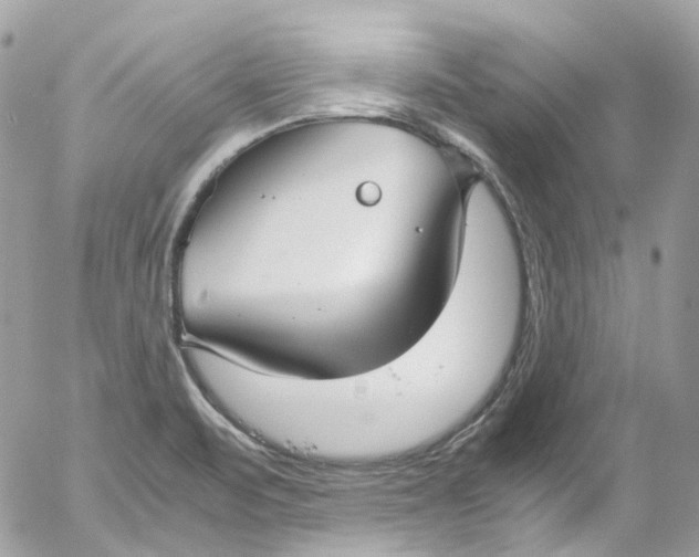 X0000052551471200507221438