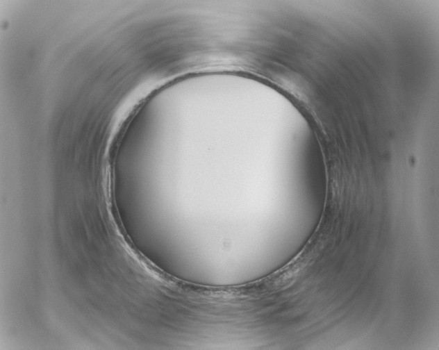 X0000052551472200507221438