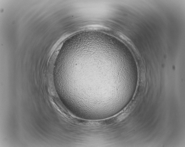 X0000052551473200507221438