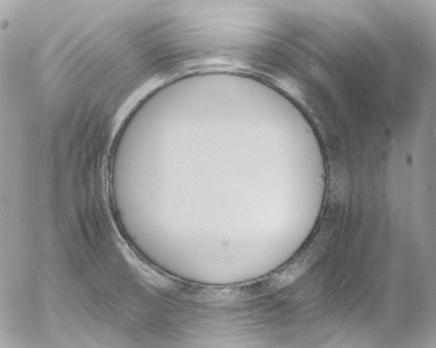 X0000052551474200507221438