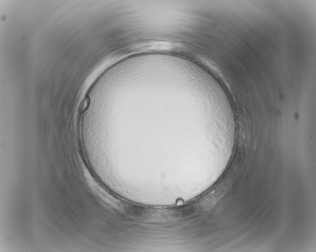 X0000052551475200507221438