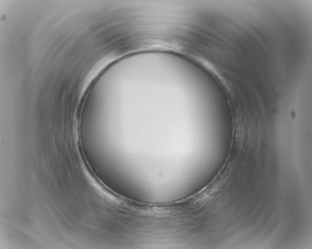 X0000052551476200507221438