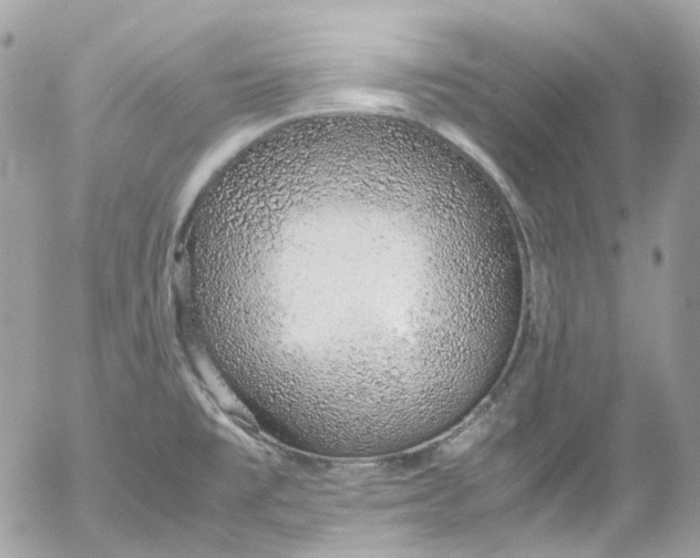 X0000052551477200507221438