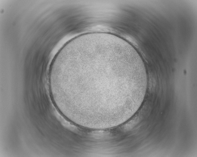 X0000052551478200507221438