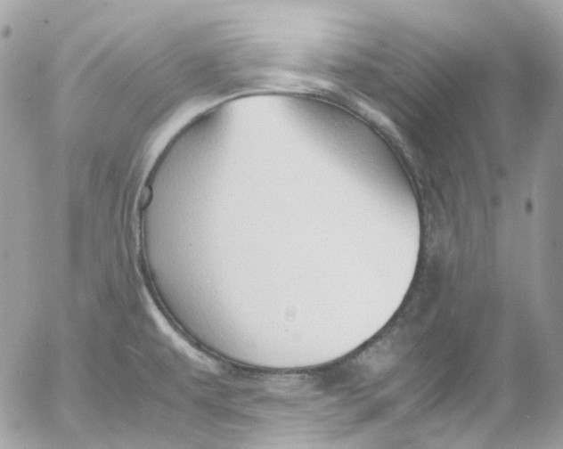 X0000052551479200507221438