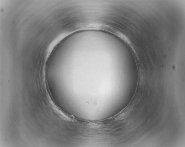 X0000052551480200507221438