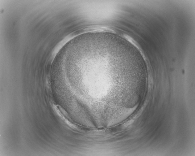 X0000052551481200507221438