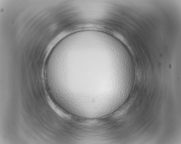 X0000052551482200507221438