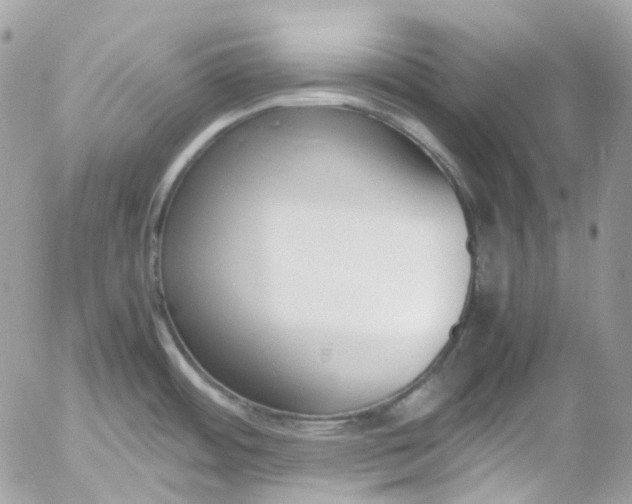 X0000052551484200507221438