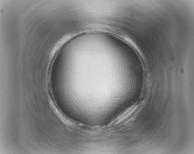 X0000052551485200507221438