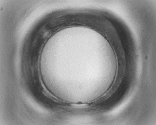 X0000052551487200507221438