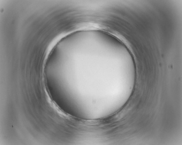 X0000052551488200507221438