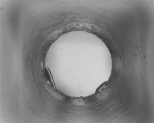 X0000052551489200507221437