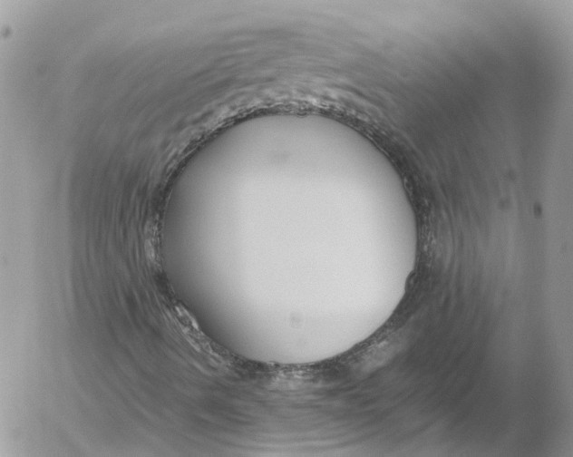 X0000052551490200507221437