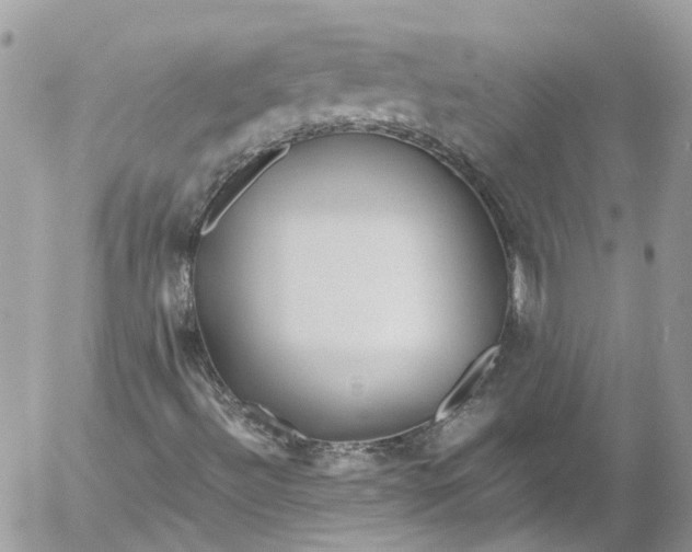 X0000052551492200507221437