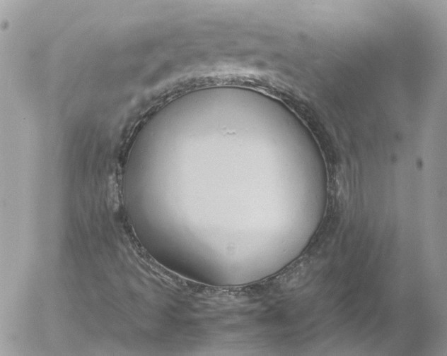 X0000052551493200507221437