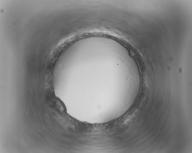 X0000052551494200507221437