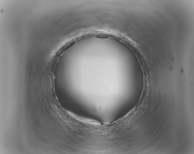 X0000052551496200507221437