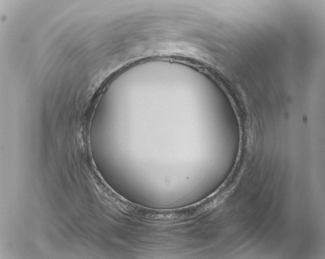 X0000052551497200507221437