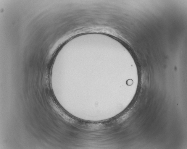 X0000052551498200507221437