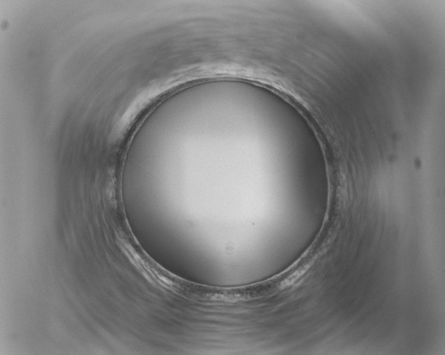 X0000052551499200507221437