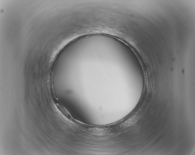 X0000052551500200507221438