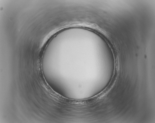 X0000052551501200507221438