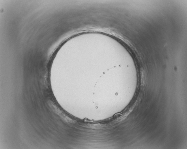 X0000052551502200507221438