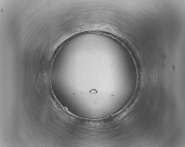 X0000052551505200507221438