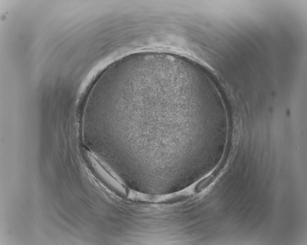 X0000052551506200507221438