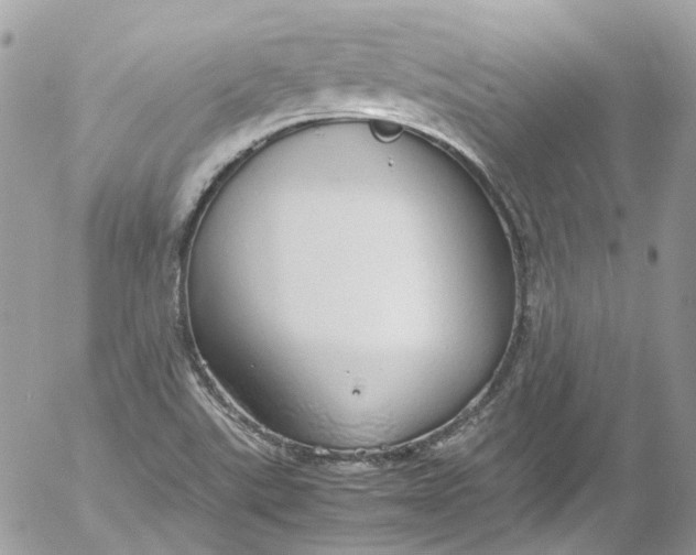 X0000052551507200507221438