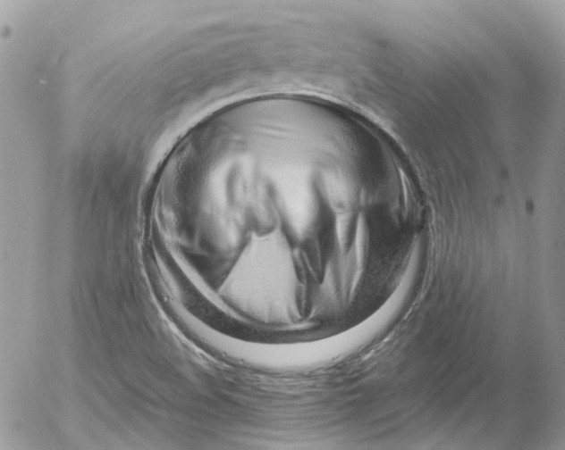 X0000052551508200507221438