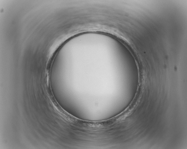 X0000052551509200507221438