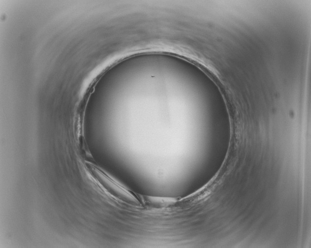 X0000052551510200507221438