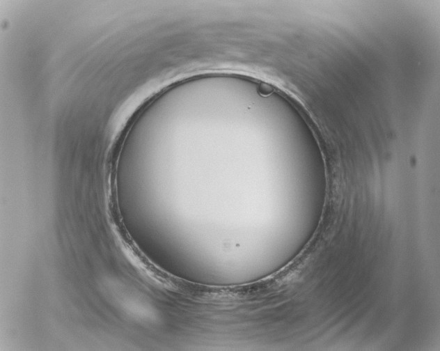 X0000052551511200507221438