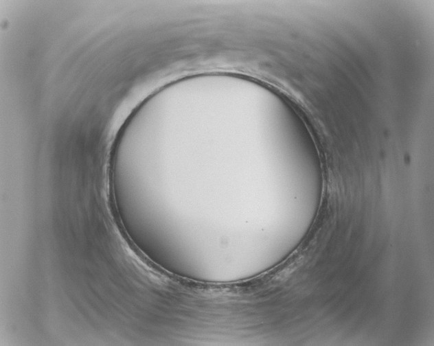 X0000052551512200507221438