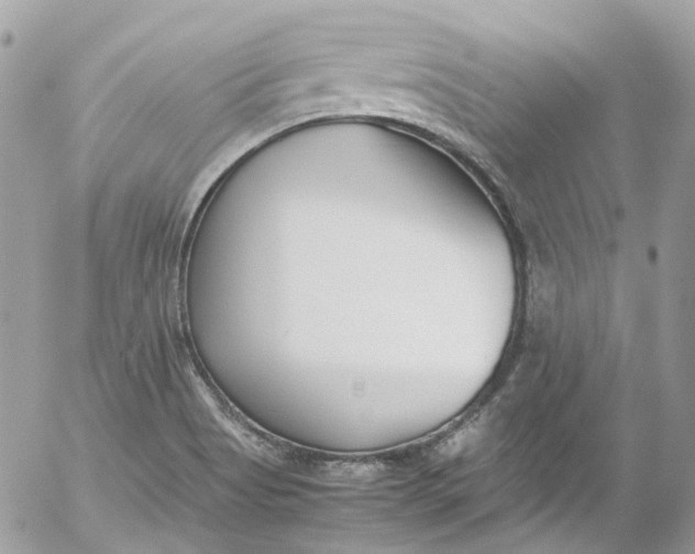 X0000052551513200507221438