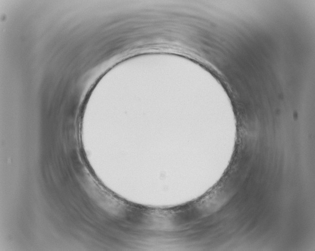 X0000052551514200507221438