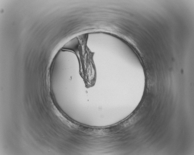 X0000052551516200507221438