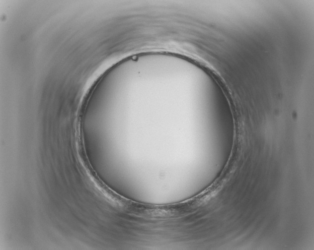 X0000052551517200507221438